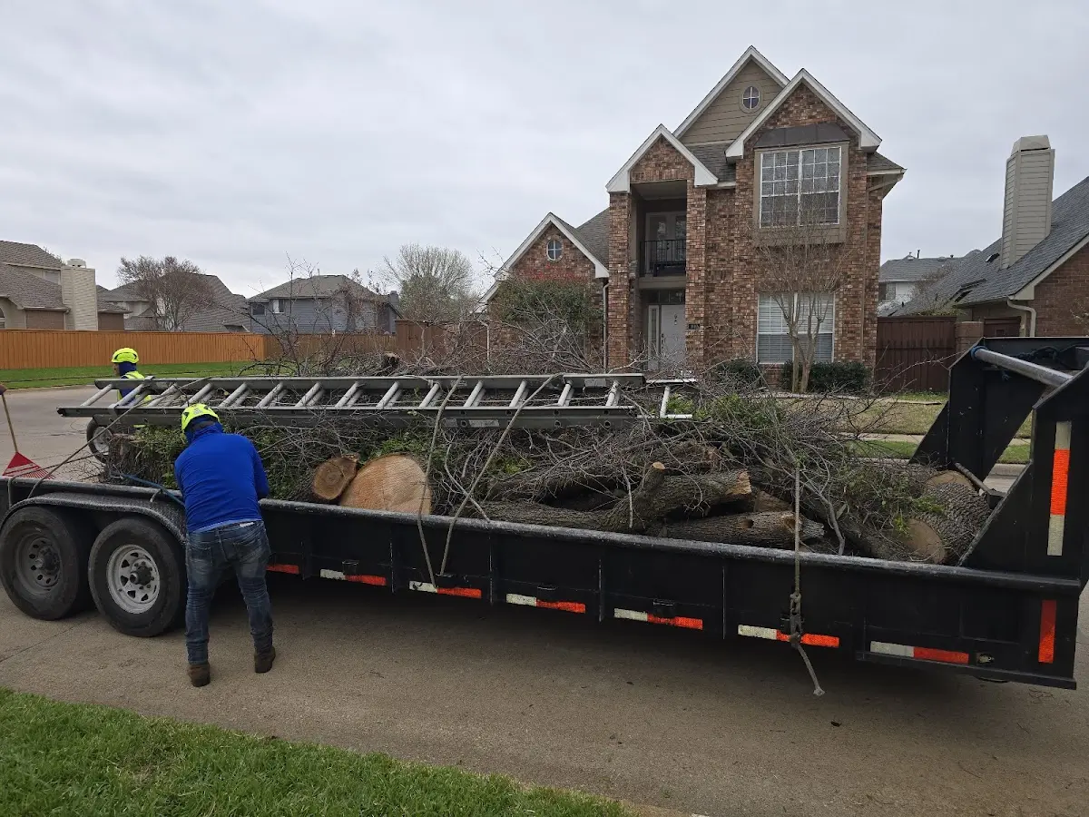Expert Tree Pest Control with proper safety equipment in Shirley Mills